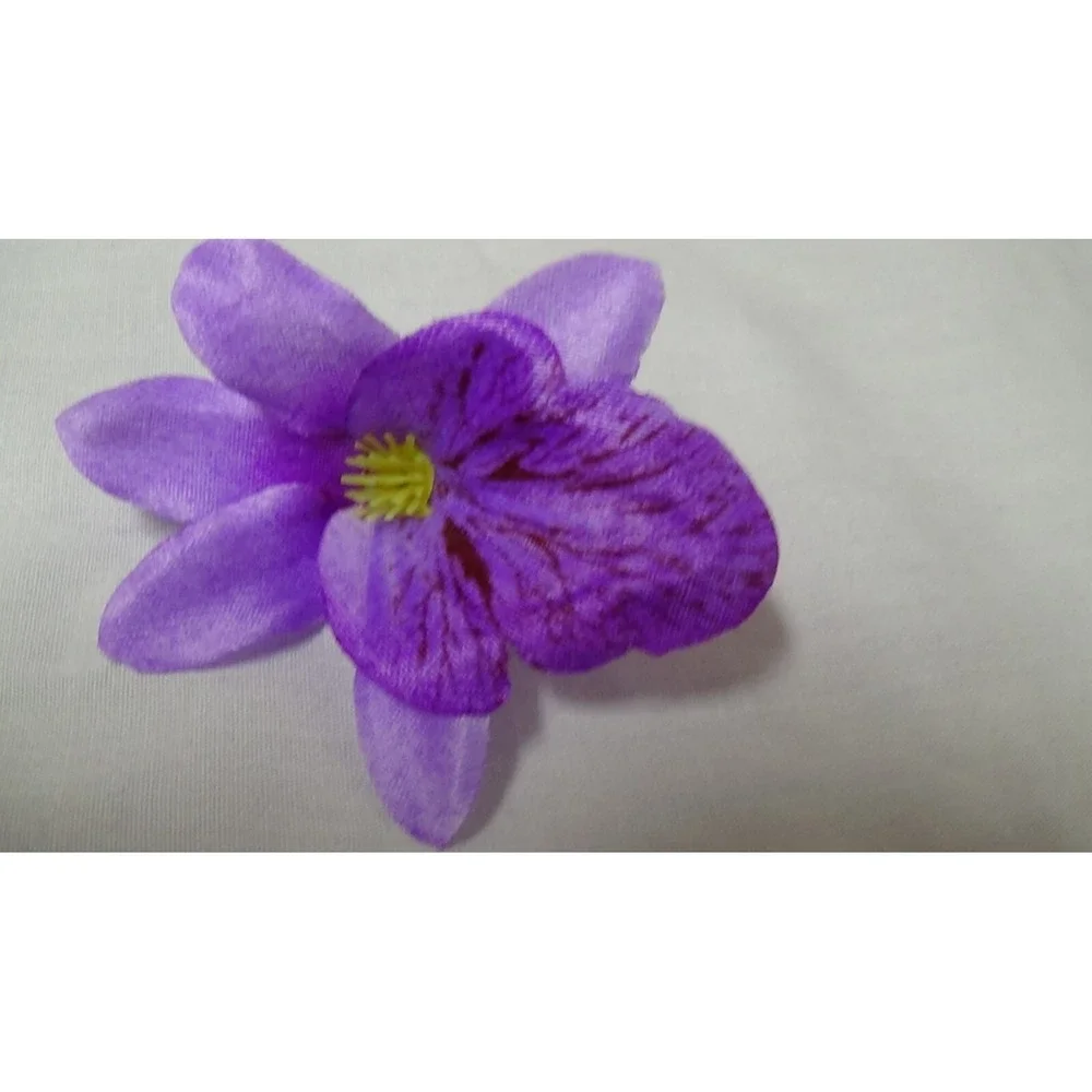 Orchid Flowers Heads 2.5